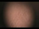 Our Microscopic World: Ep_1 Our Microscopic World: Ep_1