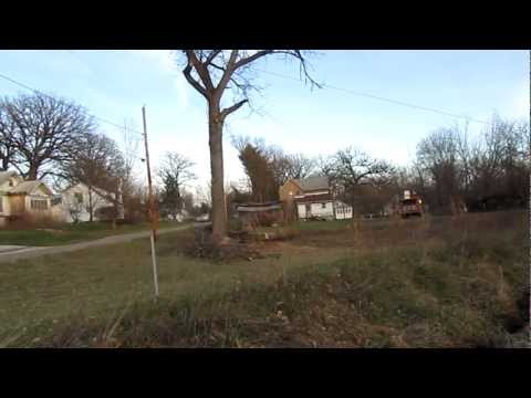 how to value a walnut tree