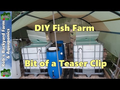 Building A Backyard Aquaponics Mini Fish Farm Rabbit Hutch Part
