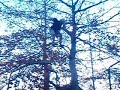stupid stunt on the trampoline pt.1 stupid stunt on the trampoline pt.1