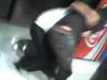 Soster Lan house Curujao Animado Jack vs EsKaL