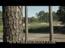 Golf Vacation Packages - Wild Wing