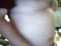 My belly w/ 1,500 mL in me