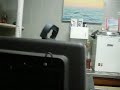 YouTubeサムネイル[FvO18pC60lc] - 1枚目