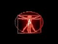 Video screenshot