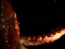 stop-motion video to instituto from s�o paulo, robot did with flesh and octupus arms plus metal and plastic... music by tejo, camera by digo pomarioc, photo by cau� ito, directed by huan gomes, created by huan and greice costa