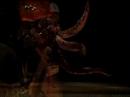 stop-motion video to instituto from s�o paulo, robot did with flesh and octupus arms plus metal and plastic... music by tejo, camera by digo pomarioc, photo by cau� ito, directed by huan gomes, created by huan and greice costa