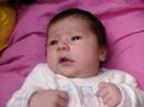 KATITA DE TU PAPITO GUILLERMO MONTENEGRO