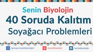 40 Soruda Kalıtım - Soyağacı Problemleri