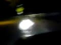 bitch fight