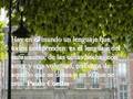 Paulo Coelho &Frases Celebres