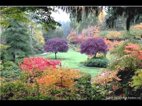 garden video - In this video you will see a number of beautiful flower gardens and other related photos. The video has some background music and is 04:39 minutes in duratio...