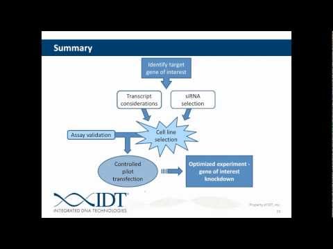 how to treat dna with rnase