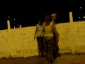 videos de árvore