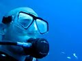 Deep Wreck Dives off Waikiki