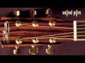 McPherson 4.5 Acoustic Guitar Recording with Neumann U87 Mics - Redwood/Ebony