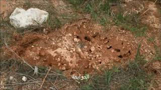 قرية الدوايمة قضاء الخليل قرية الدوايمة قضاء الخليل