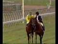 2002 Melbourne Cup (full version, incl. post-race footage)