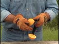 Imported Orange Craft - Ear Muffs