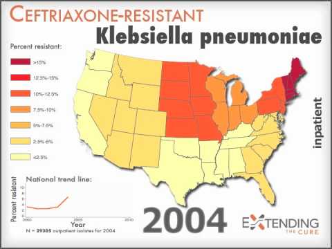 how to cure klebsiella pneumoniae