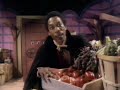 TEC - Vincent the Vegetable Vampire