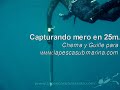 Recuperando mero en 25m.