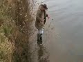 pêche au brochet