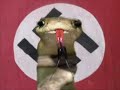Reptilian Bush Reptilian Bush