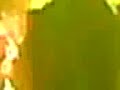 opium du peuple et condko� au camji � niort le vendredi 23 mai 2008!
c'�tait cool, cette chanson se nomme le sud!!