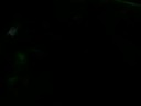 retro sep 08 tall trees
arrola - dreaming
