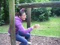 fun at fota wild life park