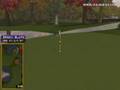 Golden Tee Great Shot on Sunny Wood!