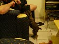 Buba pokusava da se popne na kauc Buba pokusava da se popne na kauc