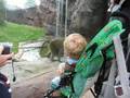 videos de Beej at the zoo