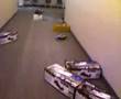 Test-run-of-the-car-