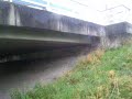 vlinderbom onder viaduct filmpy vlinderbom onder viaduct filmpy