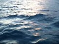 Ocean Wave Trance Music Video