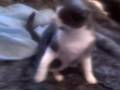 videos de Nov 26 2007 - VID00019