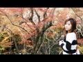 Journey to Japan