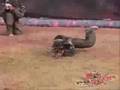 Xsv Paintball Mix