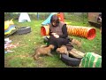 36. Tag H-Wurf vom schnellen Fahnder 36. Tag H-Wurf vom schnellen Fahnder