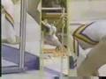 Lavinia Agache of Romania - 1984 Olympics UB Compulsory