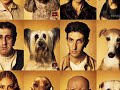 vERY fUNNY dOGS 6 vERY fUNNY dOGS 6