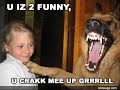 vERY fUNNY dOGS 6
