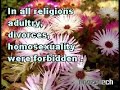 Islam&solution to adultery,divorces, homosexuality in West Islam&solution to adultery,divorces, homosexuality in West
