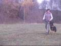 videos de Agria.wmv