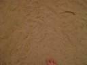 me doing a backflip on a jumping pillow