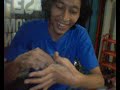 Sulap wek_wek