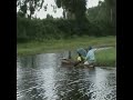 Life in Lotak Lake, Manipur, India - by Maibam Bobo - Loktak Lake, Manipur, India