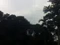 A Beautiful Jungle in KL City-FRIM